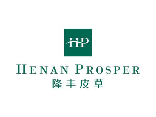 隆丰革乐美与丰鈜投资 产业与资本的双向奔赴