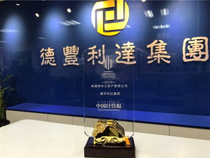 德丰利达集团荣获2016卓越竞争力资产管理机构大奖，丰鈜投资实力彰显